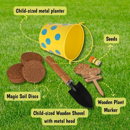 Outdoor garden toy set for kids birthday gift