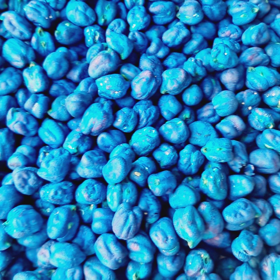 Bright blue sensory chickpeas filler, showcasing smooth, uniformly dyed chickpeas in vivid shades of blue. Designed for sensory play, this filler creates a calming, ocean-inspired tactile experience for children.