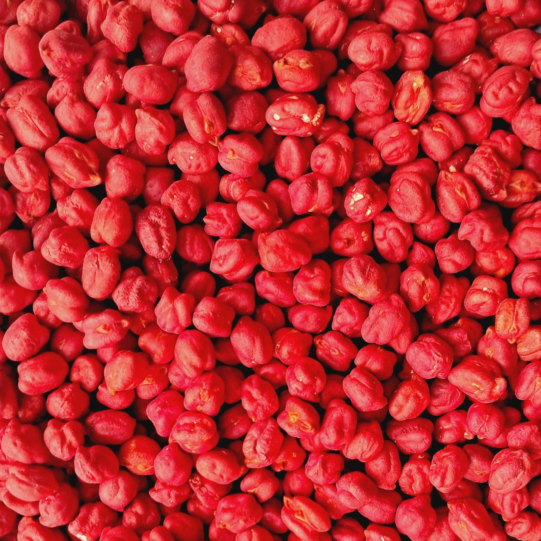 Bright red sensory chickpeas used as a filler, showcasing smooth, vibrant, and uniform red-colored chickpeas. Perfect for sensory play setups, these chickpeas provide a visually stimulating and tactile experience for kids.