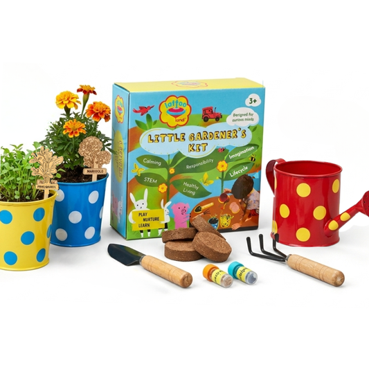 Children's gardening kit with tools, plants, and a box labeled 'Little Gardener's Kit' on a white background.