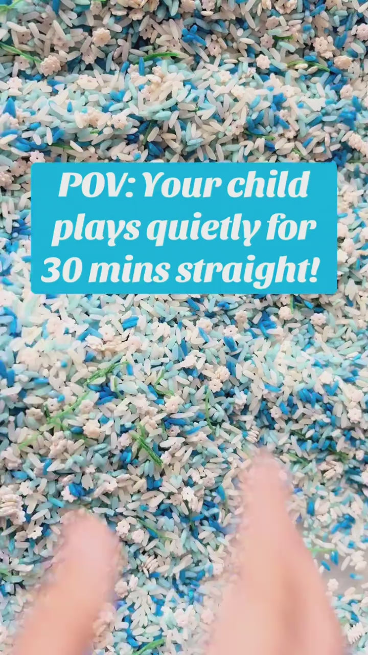 Winter Sensory Bin Rice for Preschoolers | Non-Toxic Colored Rice for Sensory Play | Winter Montessori Activities For Toddlers & Kids | Educational Winter Activity Toy | Snowy Day Sensory Play Material